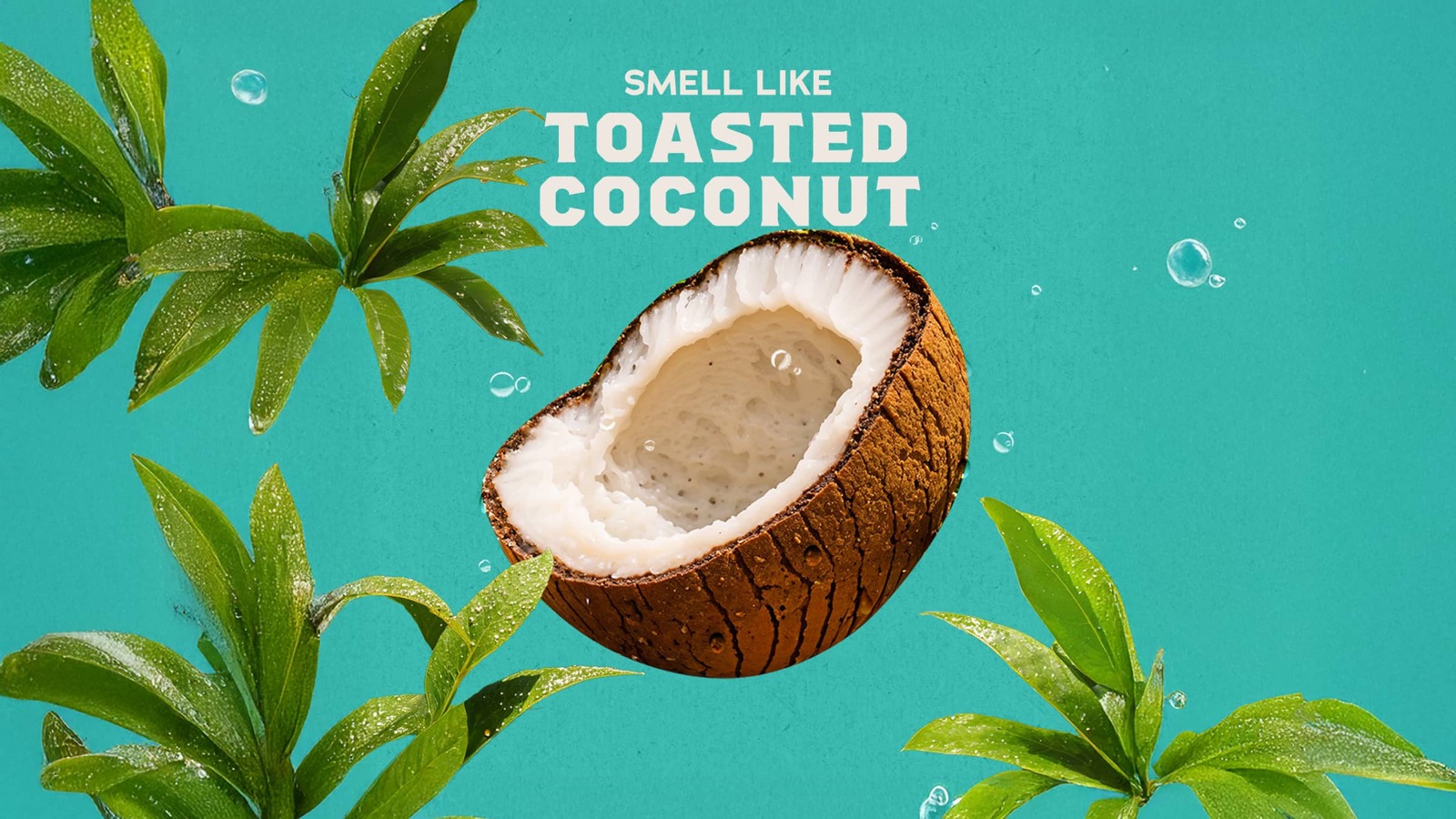 Coconut Castaway